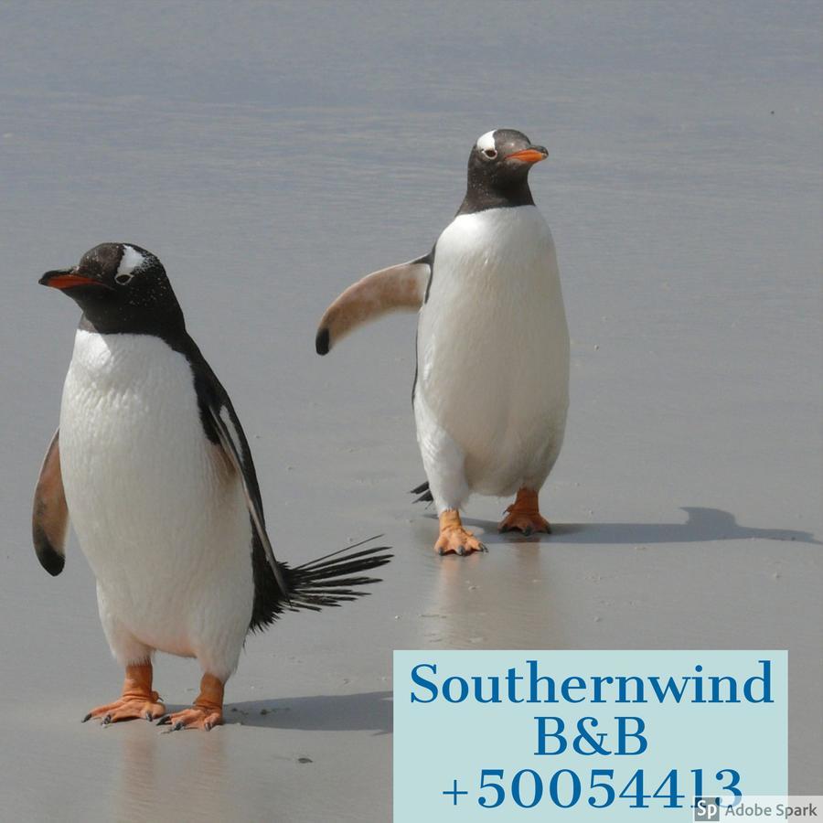 Southernwind - Spareroom Stanley Ngoại thất bức ảnh
